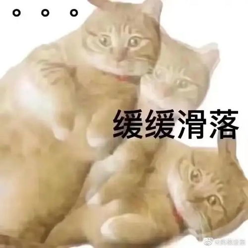 专家建议8小时工作制中须包含3小时摸鱼时间doge.jpg