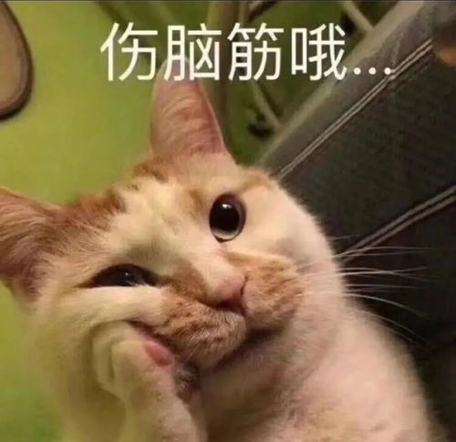 大人有大量表情包憨憨