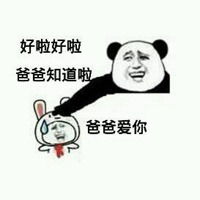 父亲的身影表情包表情包