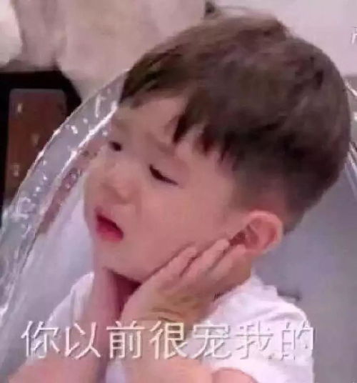 不用打字就可以聊天的图片