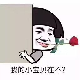 套路男朋友的表情包看书的那个抢红包