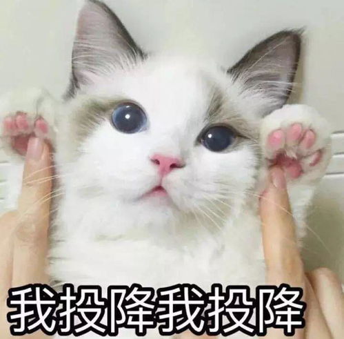 史诗级灾难大片开学上映矮凳教你绝地求生天天吃鸡
