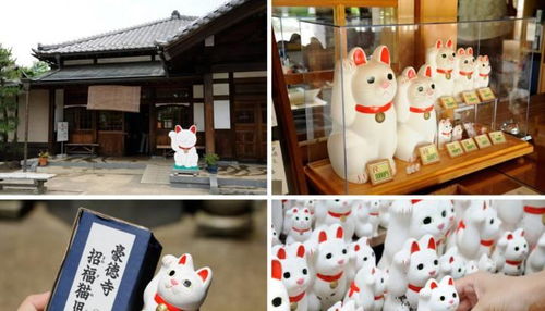 满眼都是招财猫不但让外国人惊叹,连日本人自己都惊讶不已