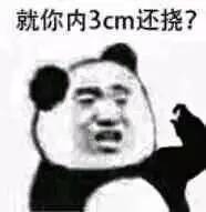 平凉斗图表情包表情包