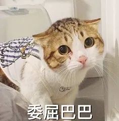 攻略丨策划葛格的小心机,你看出了多少