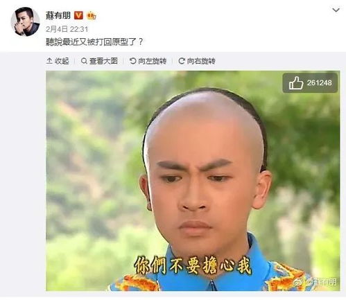 容嬷嬷表情包苏有朋