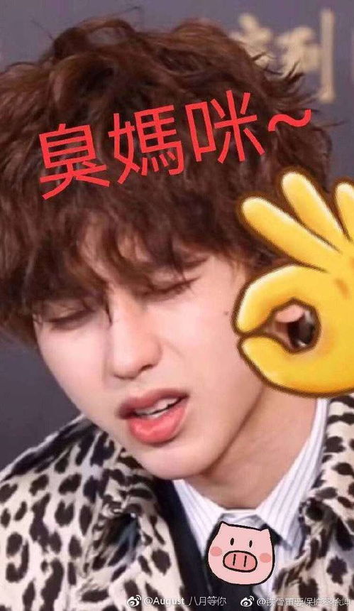 妈粉最爱的蔡徐坤表情包合集是需要妈妈哄的委屈小葵