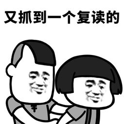 发表情表情包大全微信表情包qq表情包fabiaoqing.com