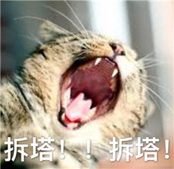 王者荣耀表情包图片下载王者荣耀动物表情包高清无水印极光下载站