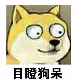 张大大新剧试毒,娱乐圈交际花的演技过关吗