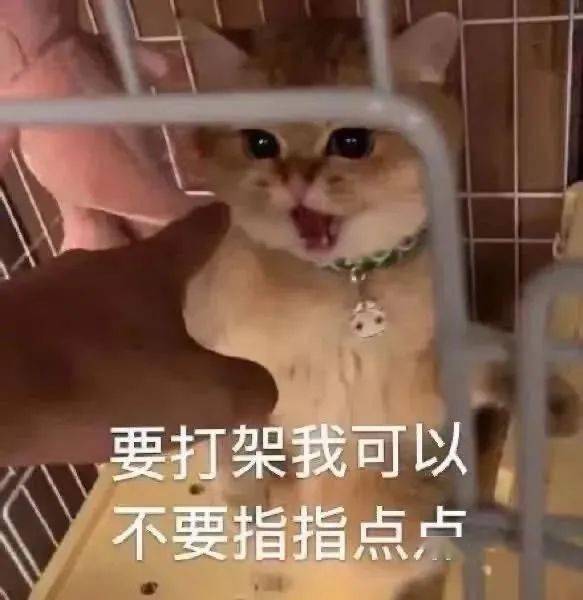 热门搞笑表情包我劝你,见好就收,见好就收