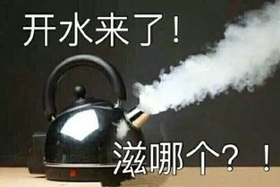 表情包让哥看看,谁在这撒野