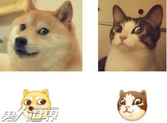 男生聊天发狗头什么意思你在聊天时喜欢发表情包吗