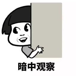 这篇推送,浪漫中带了几丝腐味