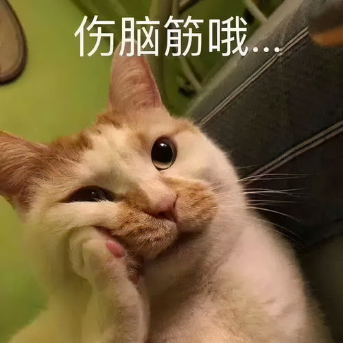 为了吃,妈妈对你说过什么谎