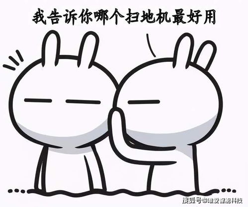 可爱兔兔表情包王卯卯