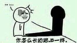 求逗比带字逗比图片啊,就是类似尼玛图片,但是表情很逗的那种逗比图片