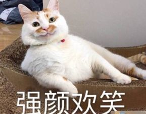 抖音打卡地粉黛园被踩秃,你觉得该怪网红带坏风气吗