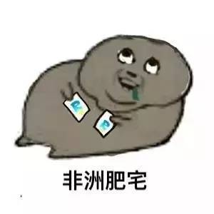 海量表情包仓库持续更新中