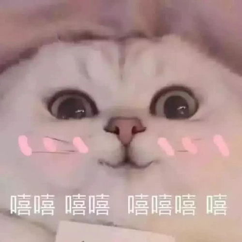 上号表情包隐藏嘻嘻