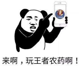 不打王者荣耀,如何成为朋友圈的明星