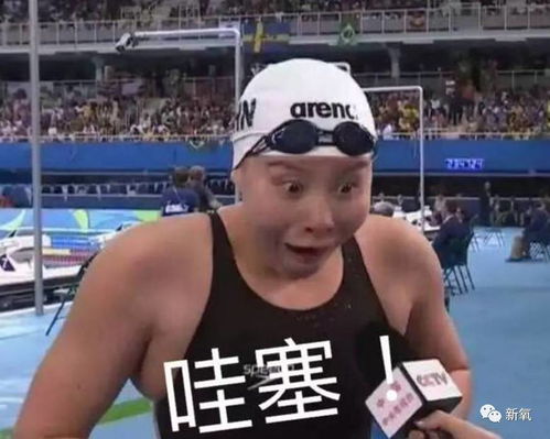 阿拉蕾和罗志祥的组合,惊喜和治愈力居然强过董力