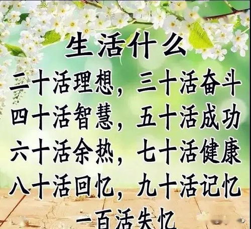 2080岁的人生顺口溜,话虽不好听,却很真实,谁编的真有才一个样
