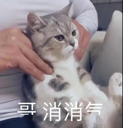 我不乖表情包不乖