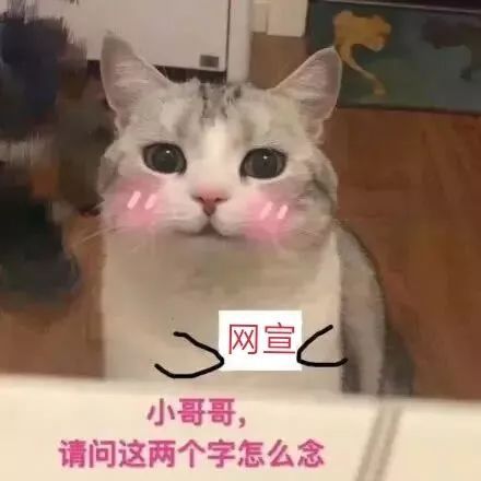 招新你不属虎也不属兔,属于网宣