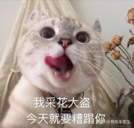 老婆女票查出hpv感染,老公男票要查吗
