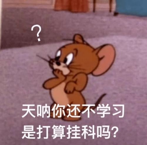 诚信考试丨以真才实学交出满意答卷