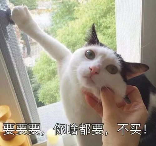喜欢买化妆品的女生千万要注意了