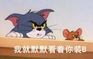 魔性原来孔雀求偶这么搞笑