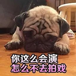 阿怪表情包第三期,狗笑得无邪,表情包疯了世界