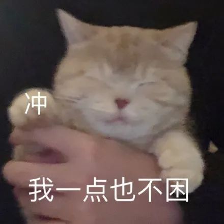 跟男朋友道歉的表情包前男友