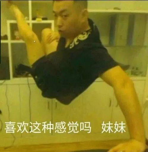 含有动态