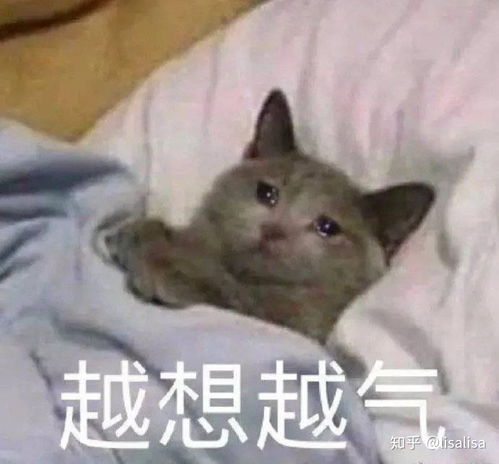 有适合和女生聊天的表情包吗