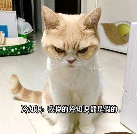奇奇怪怪表情包