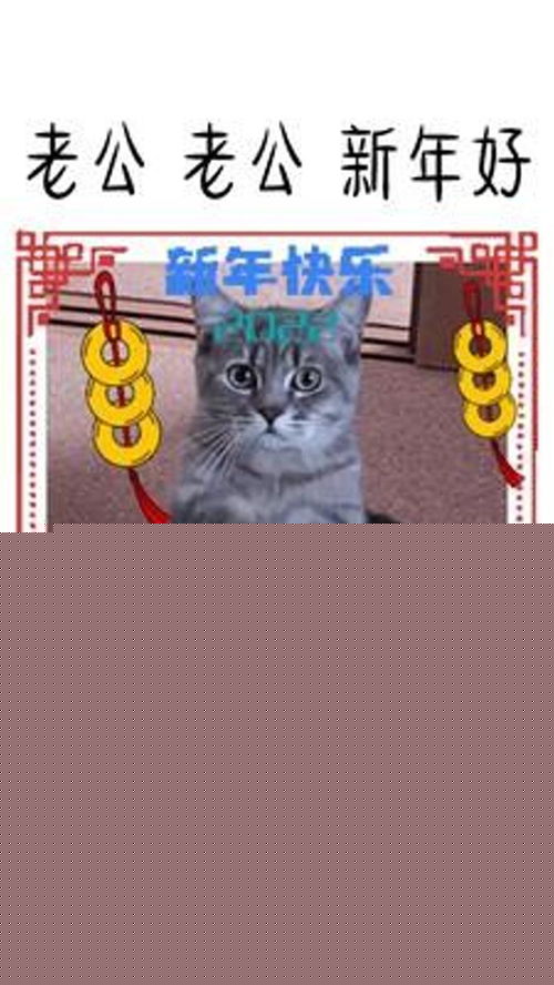 老公老公新年好,过年要红包表情包