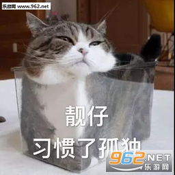 不是这样的儿子表情包你怎么永远有这么多话可说表情包下载乐游网游戏下载