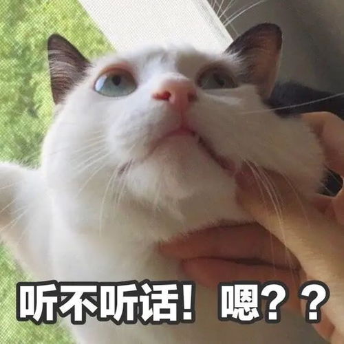 微信突然调整,网友不敢乱花钱了