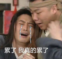 武林外传白展堂表情包累了,我真的累了