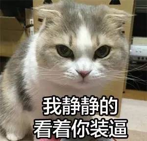 买了套新房,楼道窗户竟然是画上去的orz