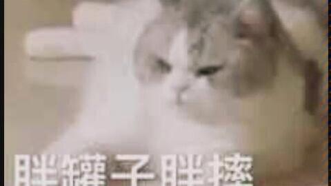 对于你们向往的伪音,端腔,你们真的了解嘛切勿盲目跟风