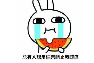陈赫的头围王子文腰围一样大,这个对比扎心了