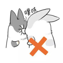 小龙说事特别的爱给特别的你们史上最萌的开学66条忠告
