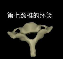这个征兵广告真的有毒每日轻松一刻4月3日晚间版