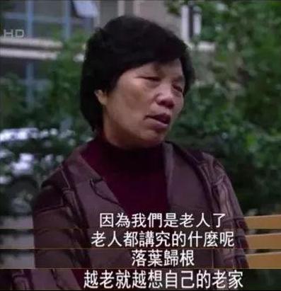 50岁母亲在北京给儿子做免费保姆,1800万老漂族,该何去何从