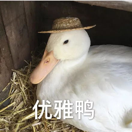 东北中年少女15大鉴定方式是我没错了