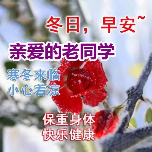 2021年12月8日上午好表情包大全,祝老开心每一秒,快乐每一天
